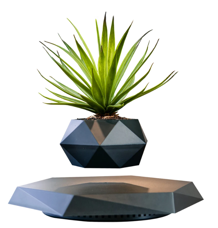 Magnetische Zwevende Plant Pot